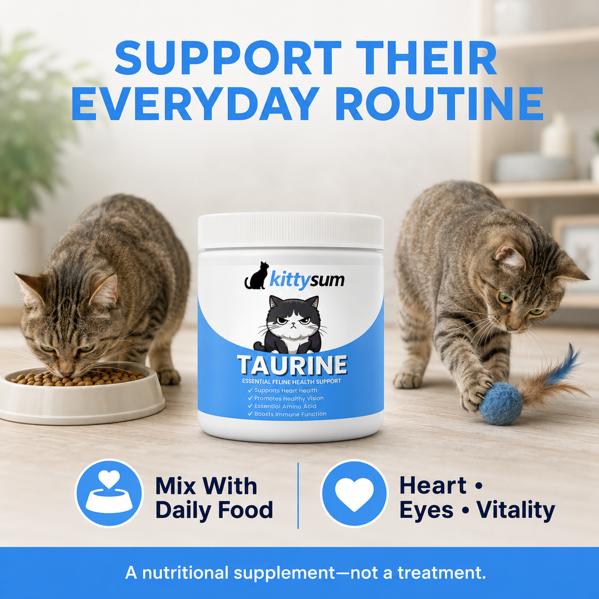 Can cats eat tuna demonstration for cat owners: featured image for the Kittysum guide